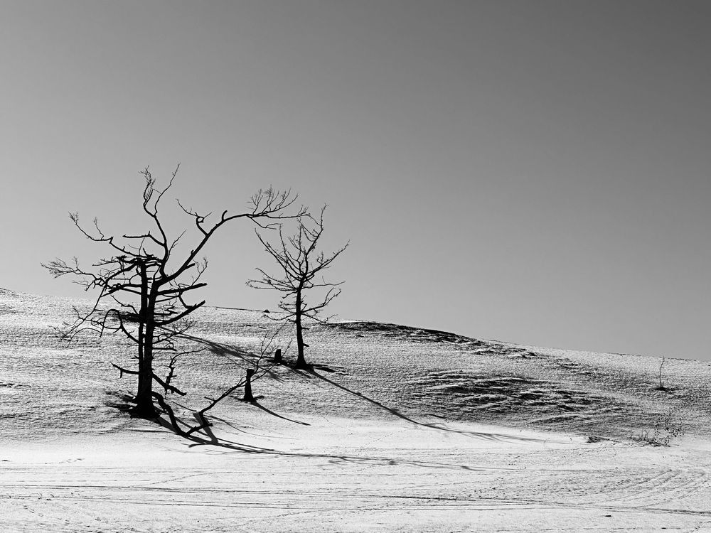 Photograph by Оксана Соколова