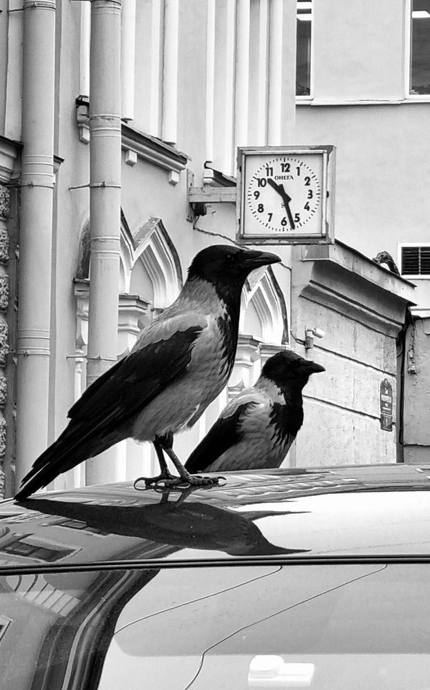 Photograph by Кира