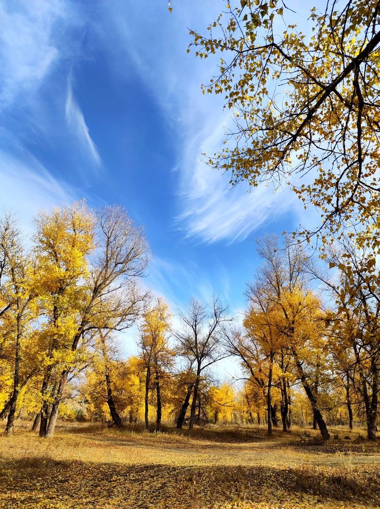 Photograph by Надежда Батракова