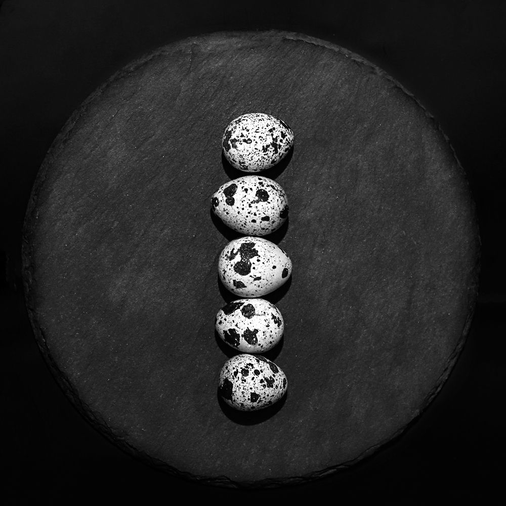 Фотография автора Светлана Цудзевич