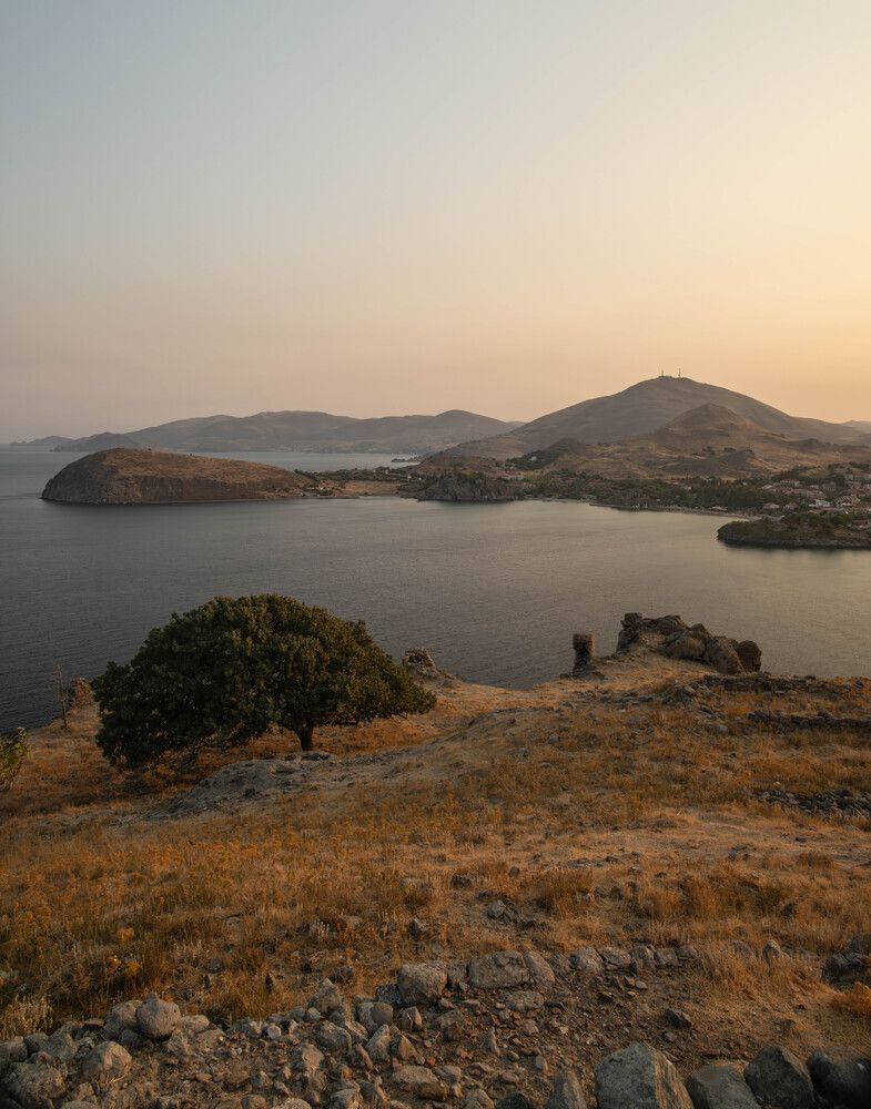 Фотография автора DIMITRIS MPAZIOTOPOULOS