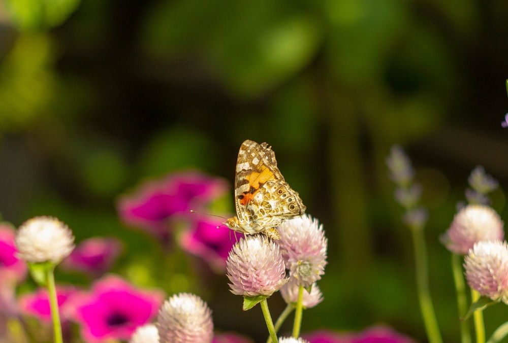 Photograph by Ольга Захарова