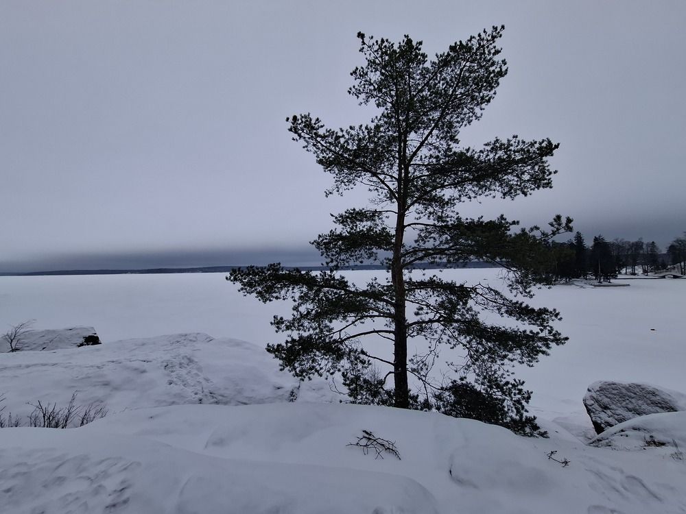 Photograph by Екатерина Балобанова