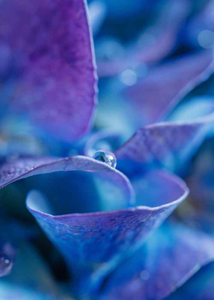 Photograph by Ирина Протченко