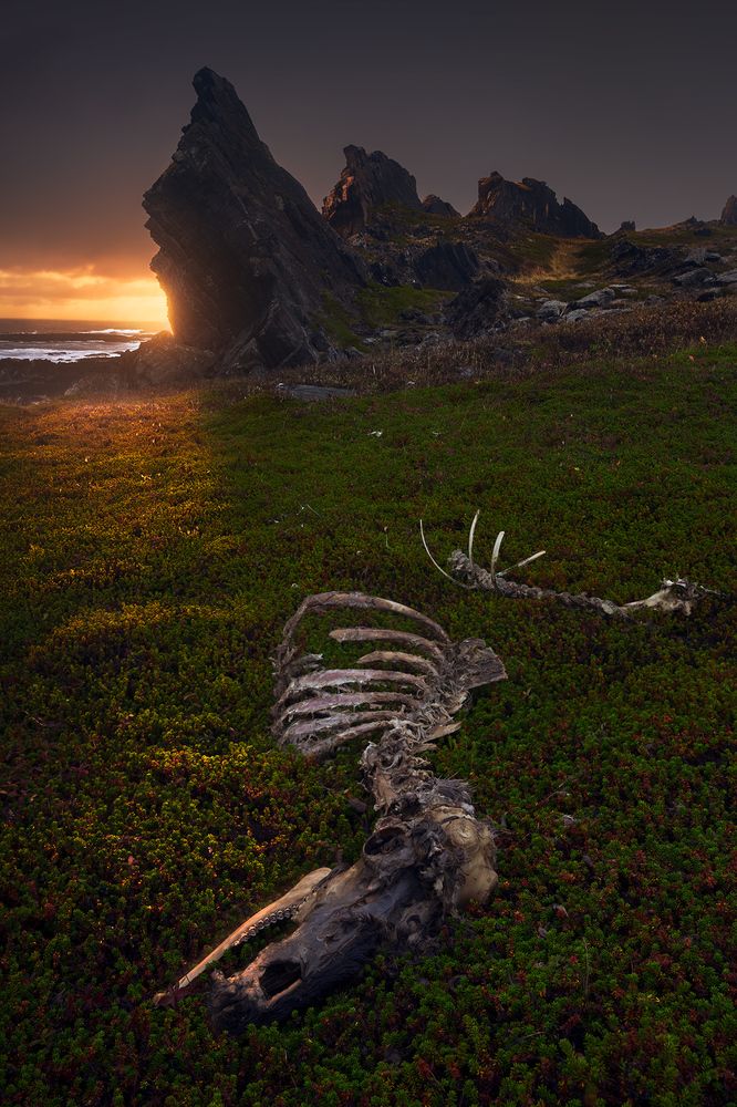 Photograph by Александр Дударев