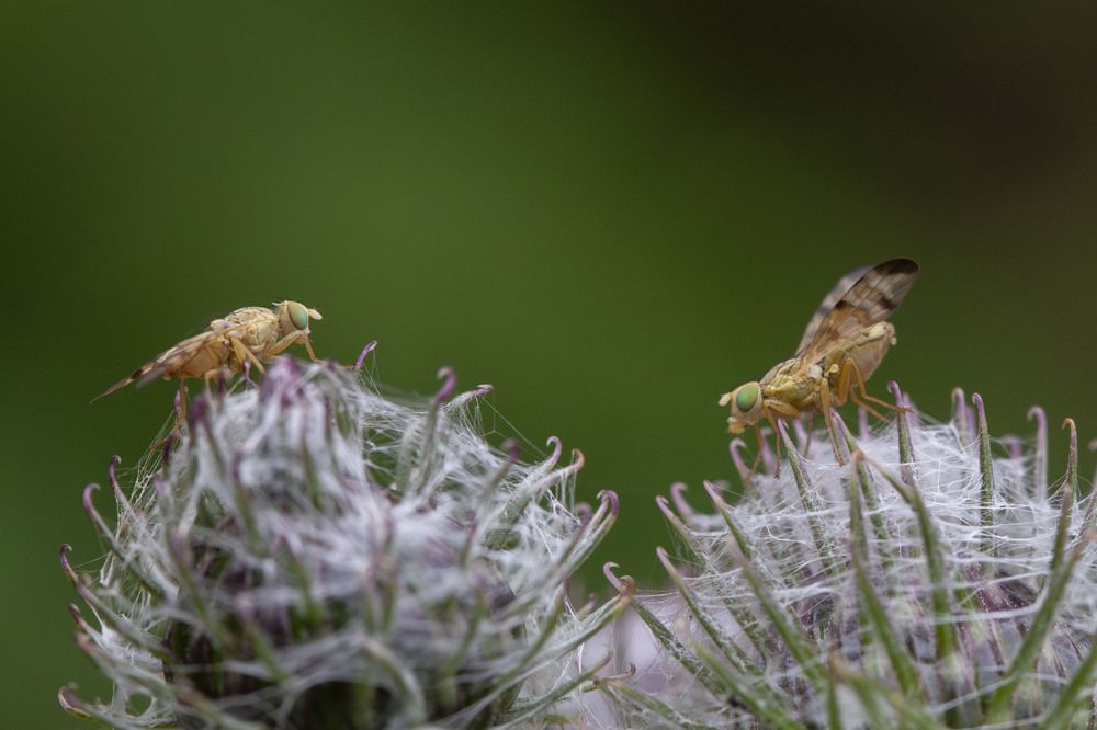 Photograph by Лапенкова Ольга