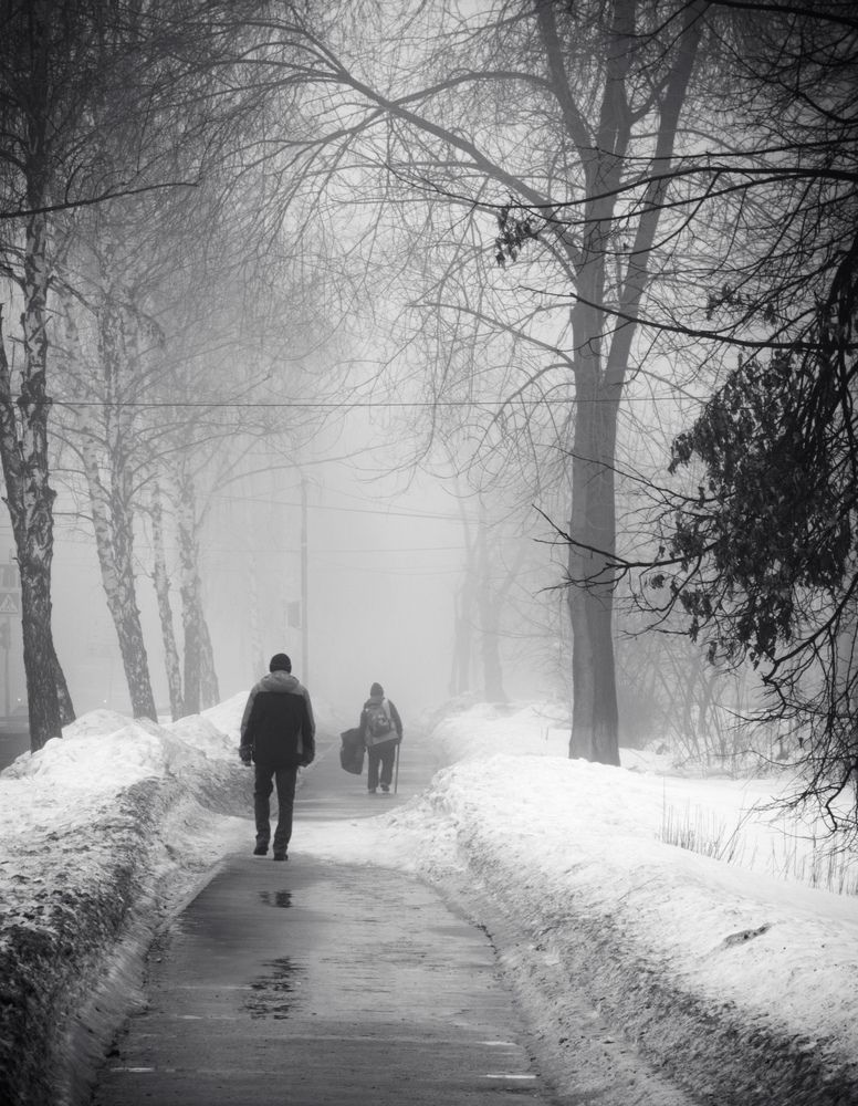 Фотография автора Александр Андреянов