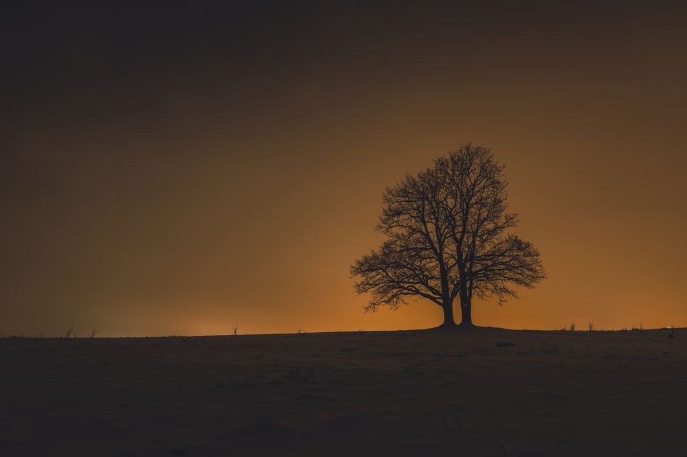 Photograph by Дмитрий Катаругин