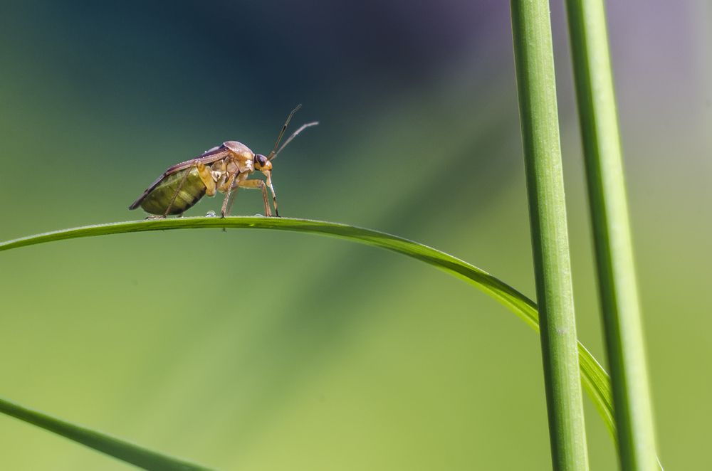Photograph by Василий Либко