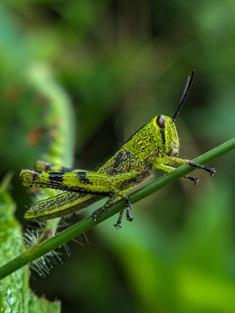 Photograph by Idham Ciptamargana
