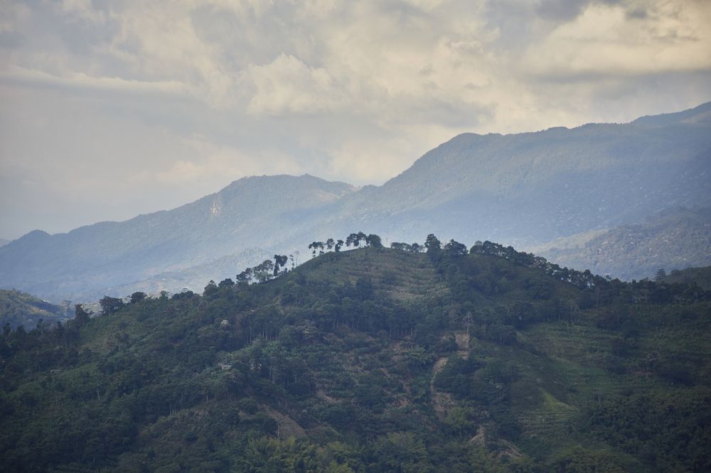 Photograph by Luis Manuel Jiménez Tabares