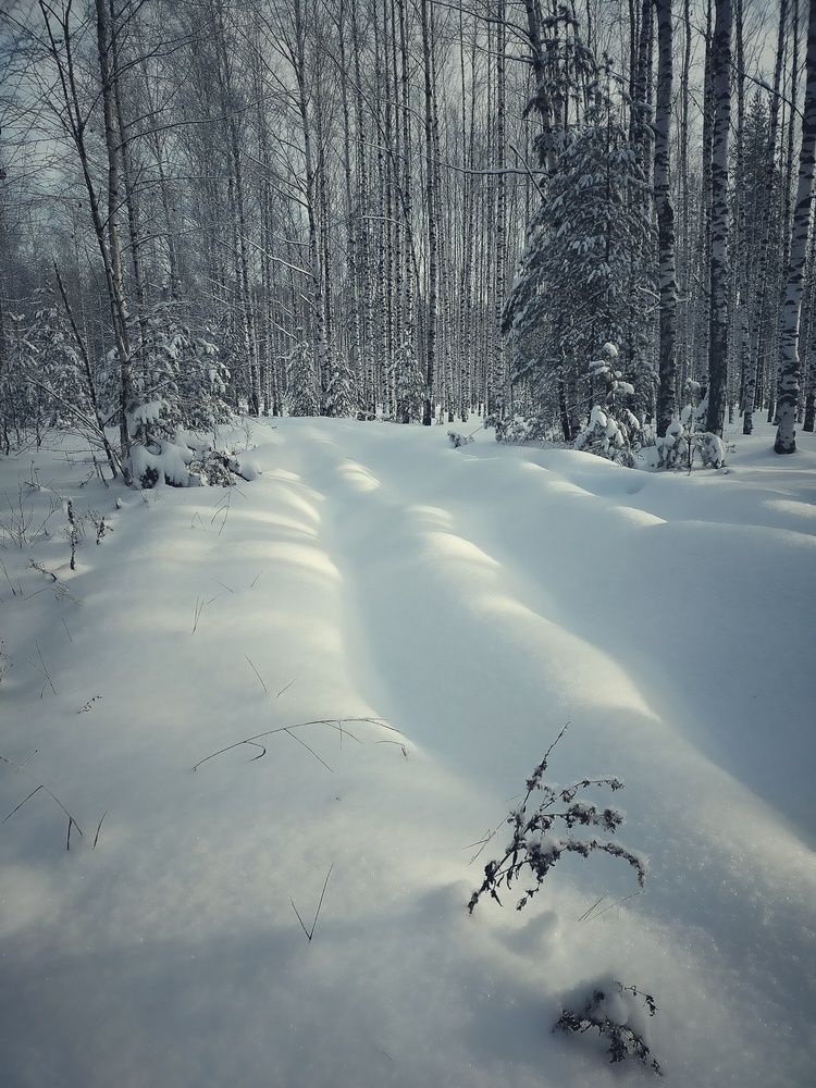 Photograph by Ольга Мартьянова