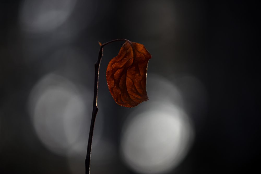 Photograph by Марина Мишутина