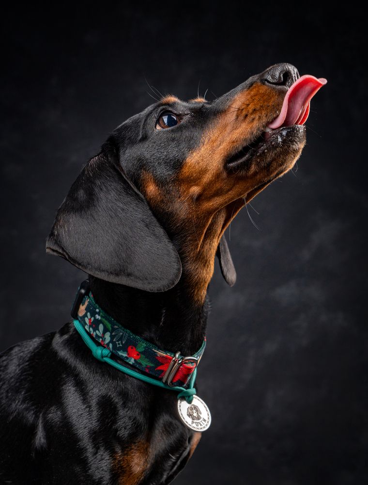 Фотография автора Маори Мурр