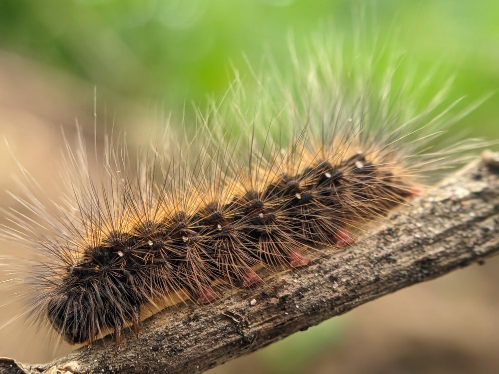 Photograph by Idham Ciptamargana