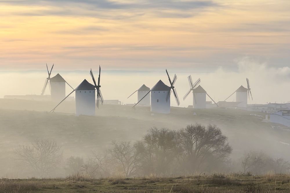 Photograph by Jesús Manzaneque