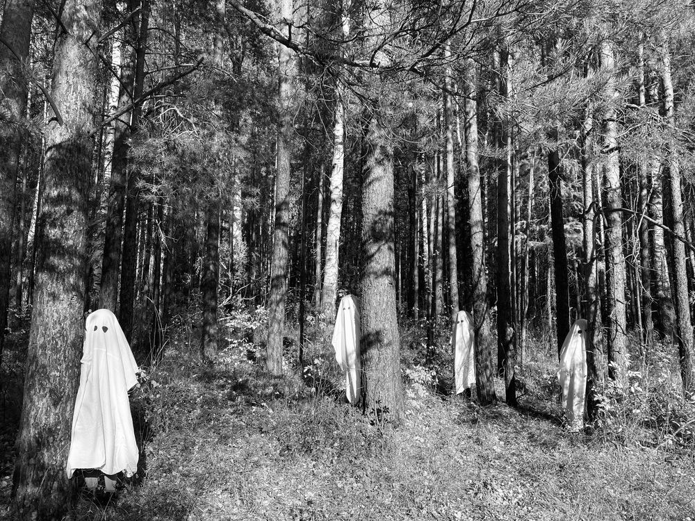 Photograph by Олеся Чистова