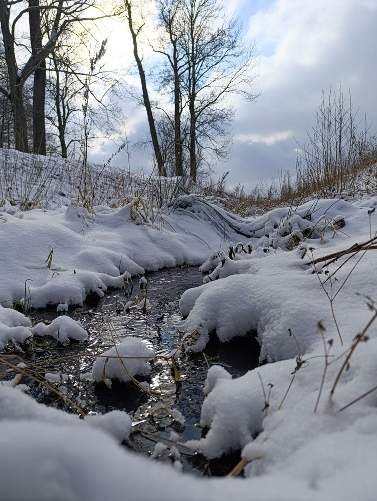 Фотография автора Михаил Бурминский