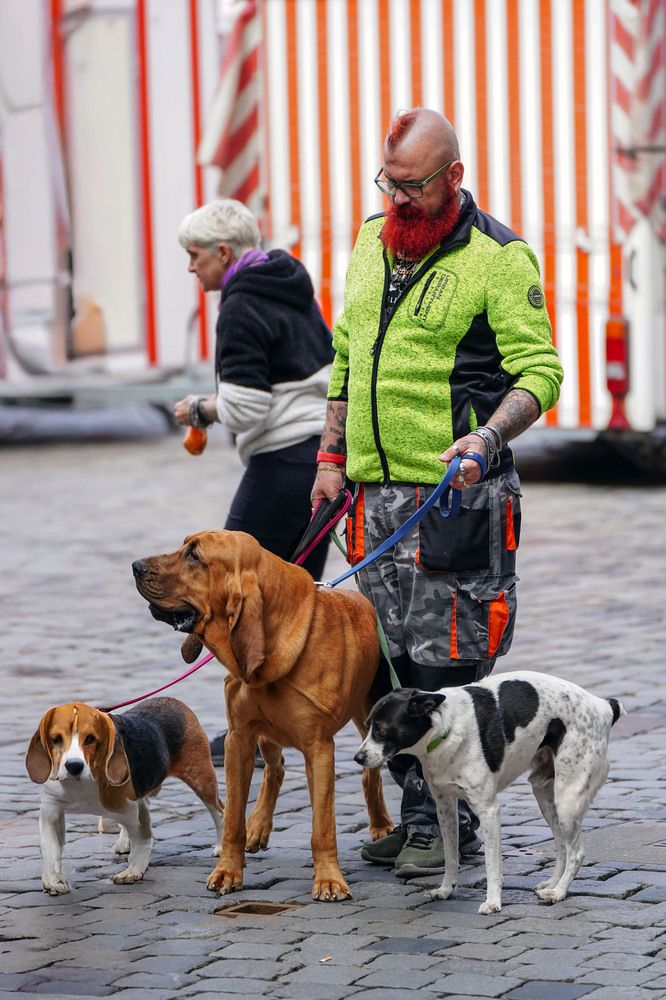 Фотография автора Владимир Осадчиев