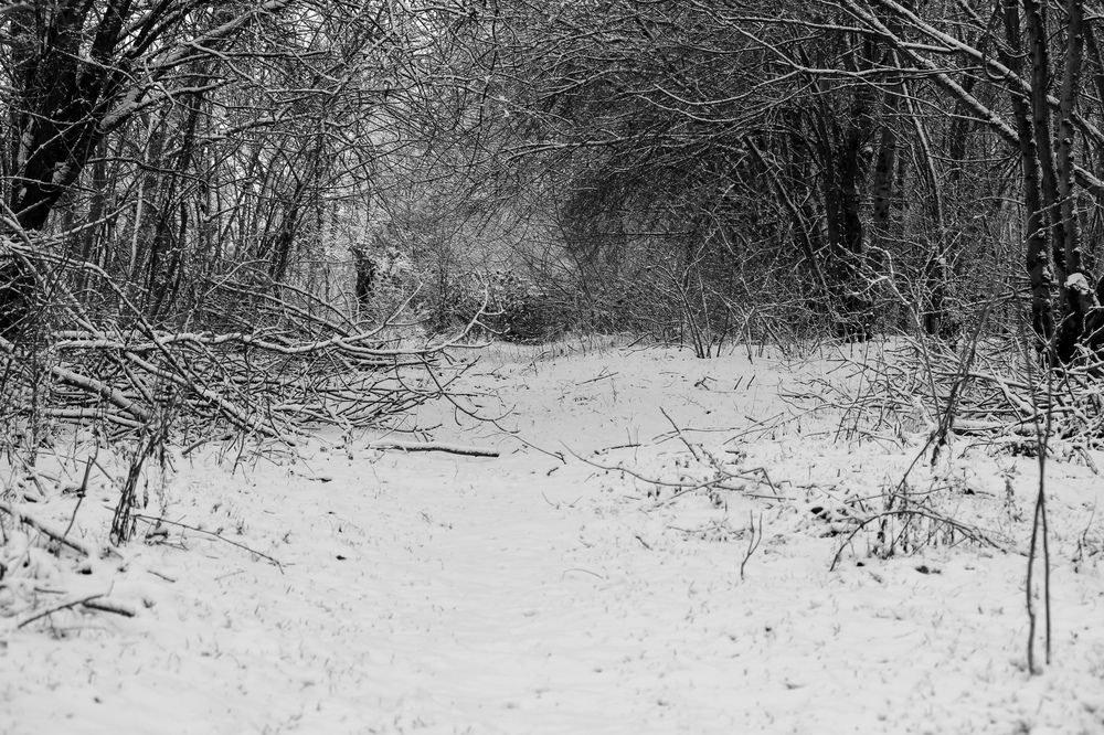 Photograph by Ирина Дмитриенко