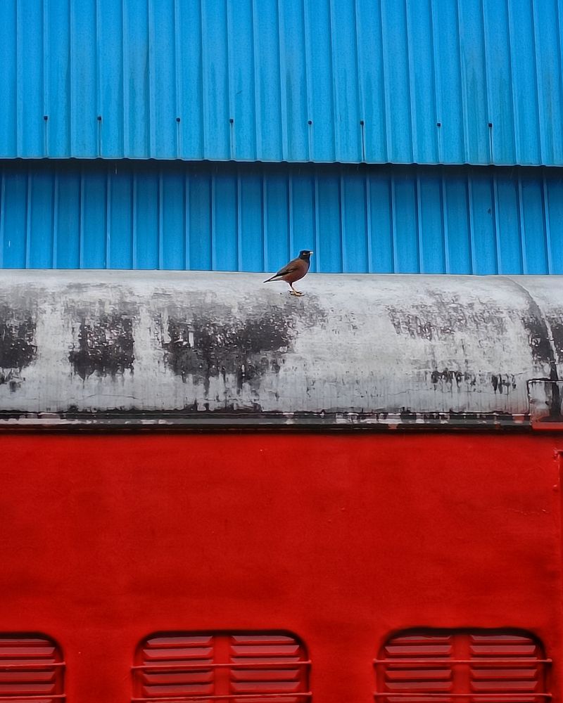 Solitude: The state of being alone