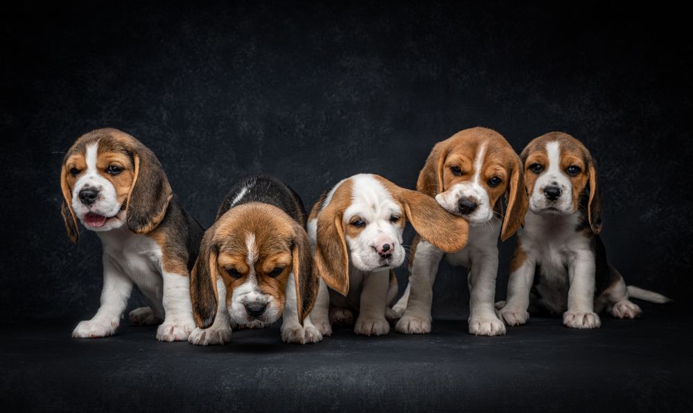 Фотография автора Маори Мурр