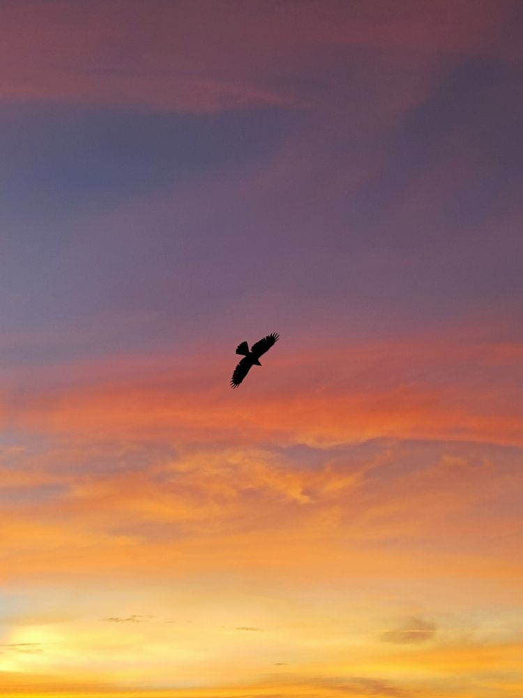 Photograph by Sritam Kumar Sethy