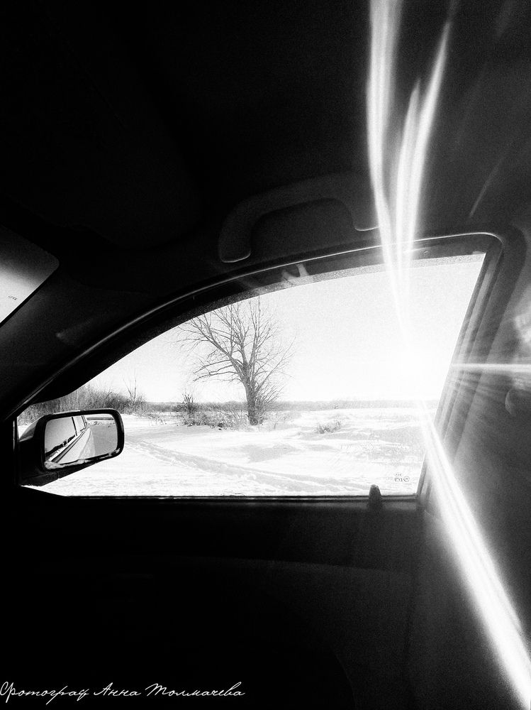 Фотография автора Анна Толмачева