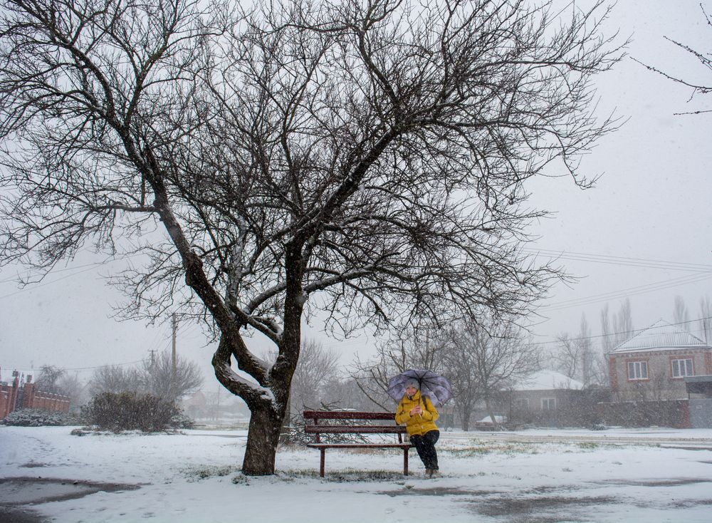 Photograph by Елена Плотникова