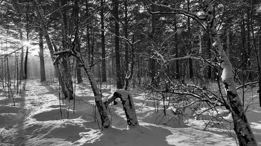 Photograph by Марина Мишутина