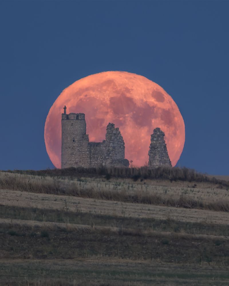 Photograph by Jesús Manzaneque