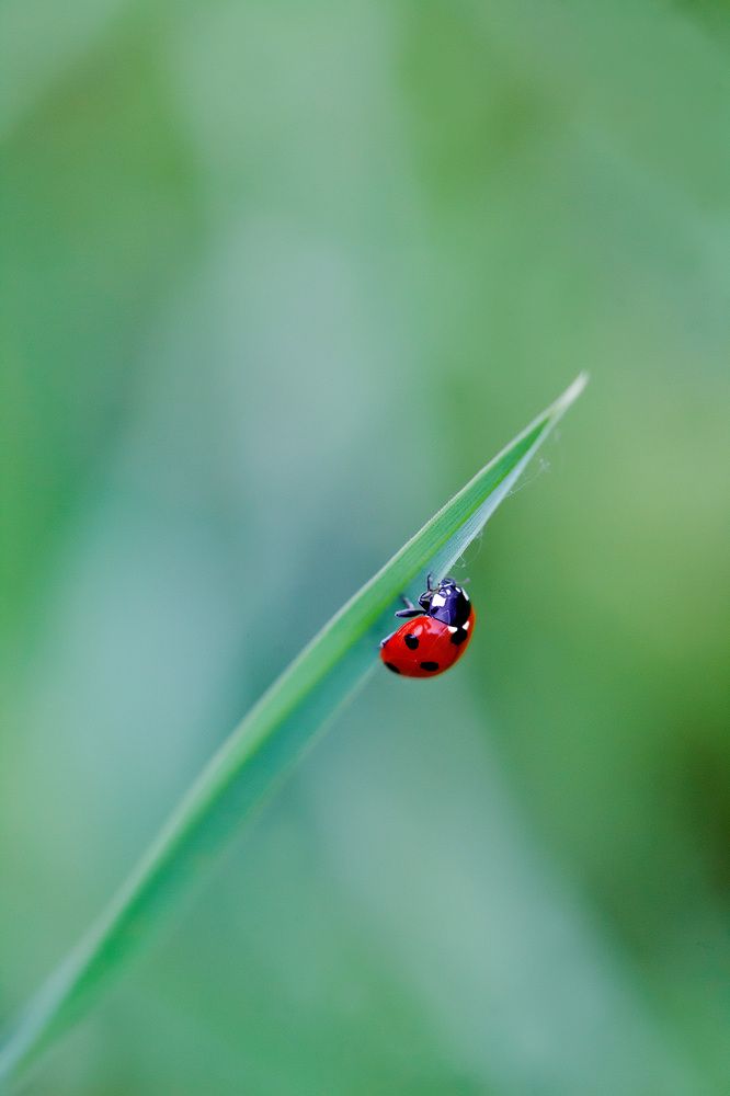Photograph by Вербицкий Петр