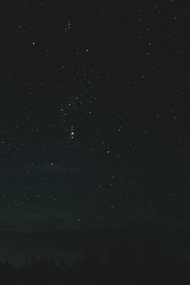 Photograph by Герман Крупенин