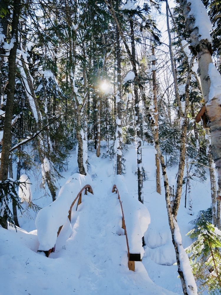 Photograph by Annie Trudel