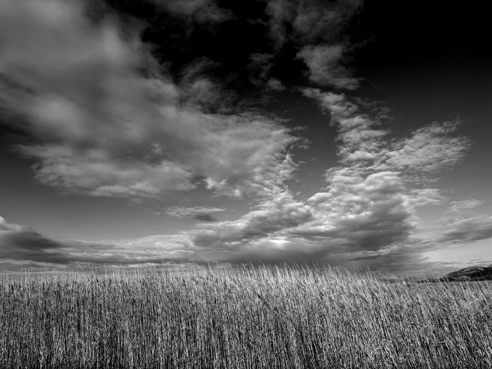 Photograph by Eftychia Vlachonatsou