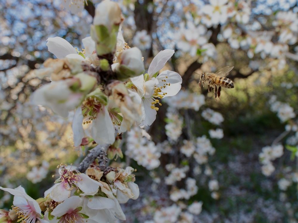 Фотография автора Edu salvador
