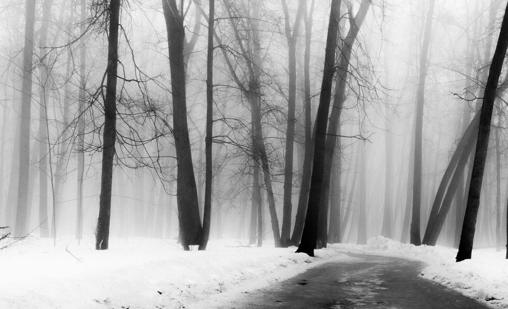 Фотография автора Александр Андреянов