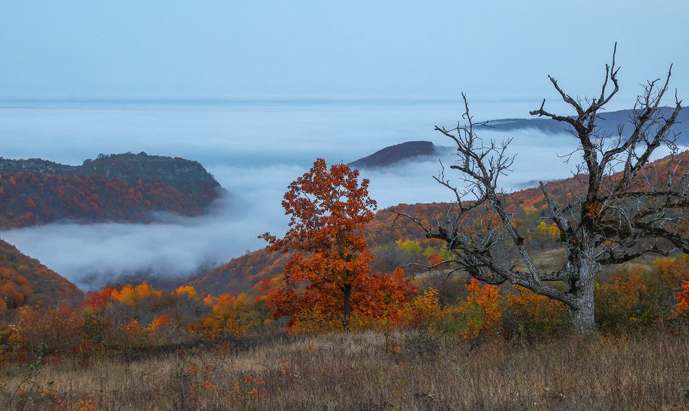 Photograph by Magov Marat