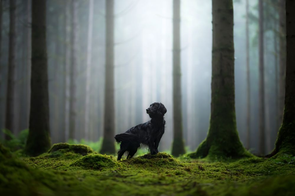 Photograph by karin bruhin