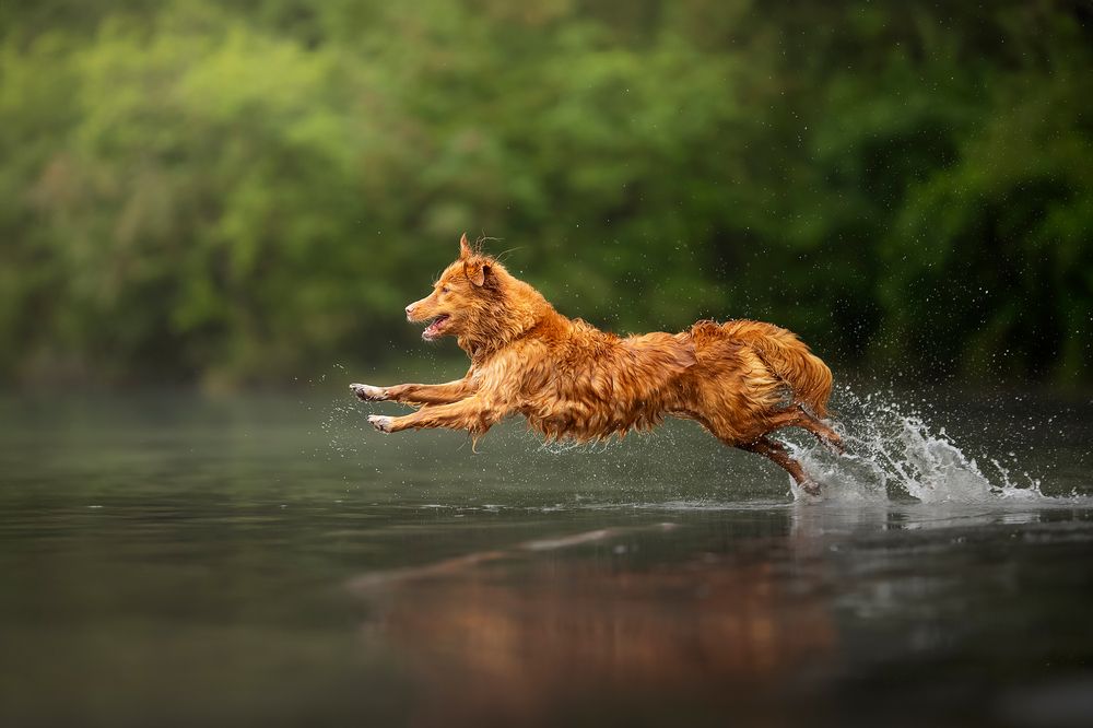 Photograph by karin bruhin