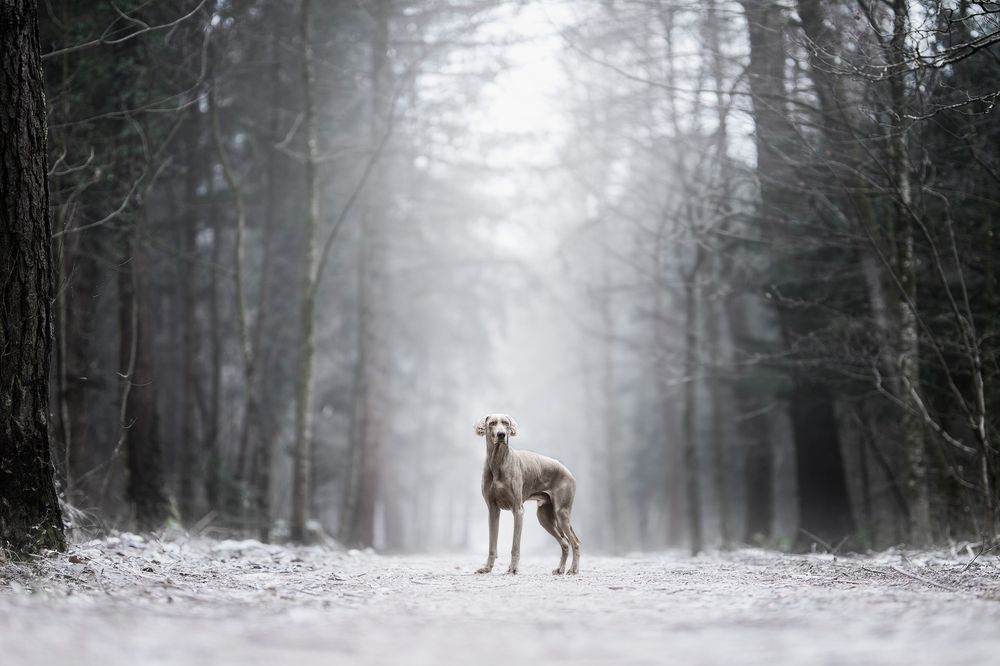 Photograph by karin bruhin