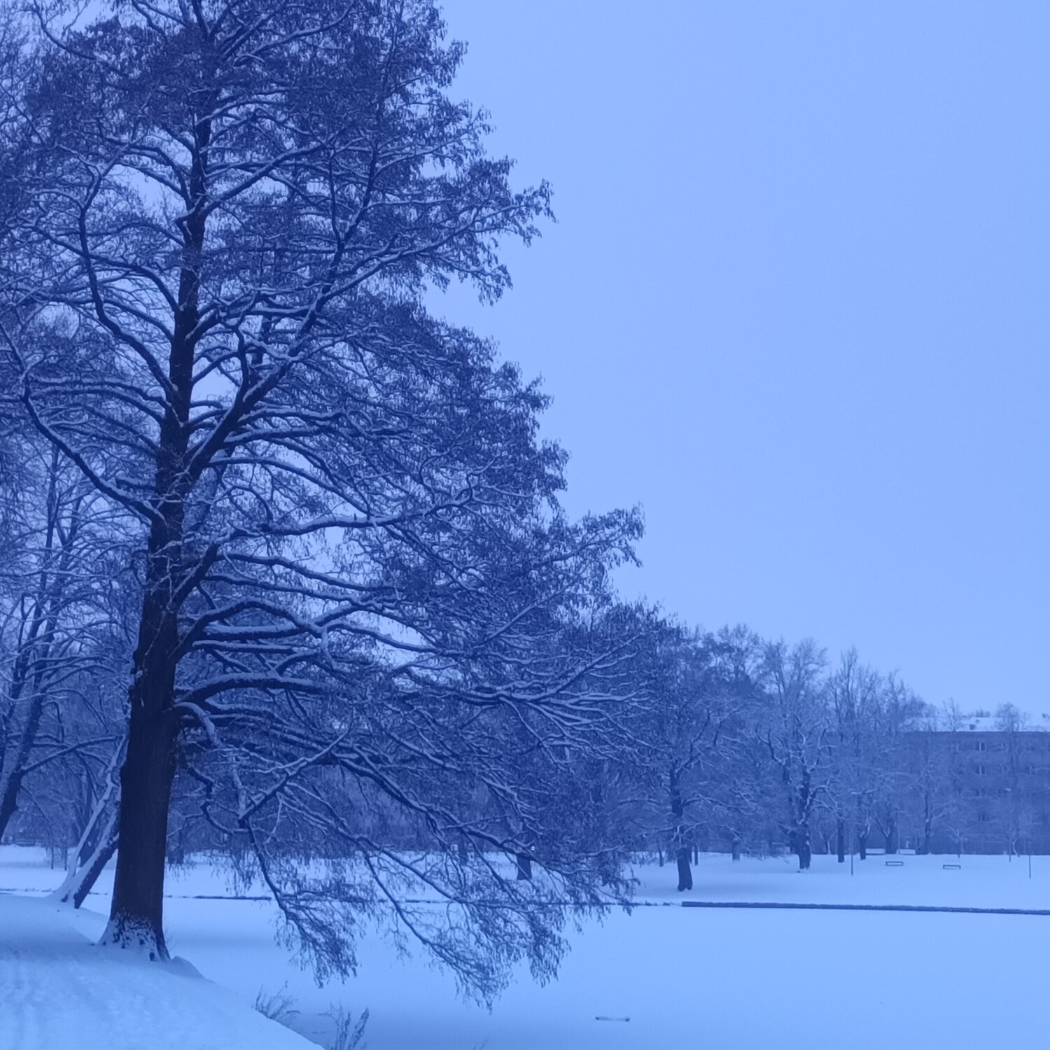 Photo #11887914