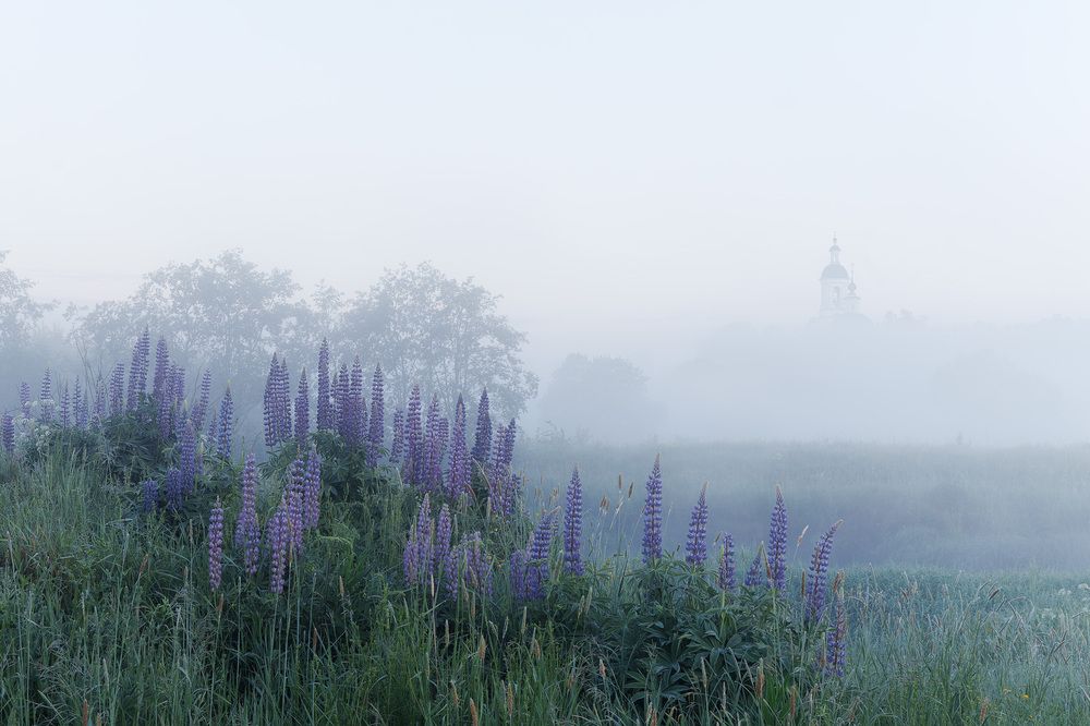 Photograph by Загруев Михаил