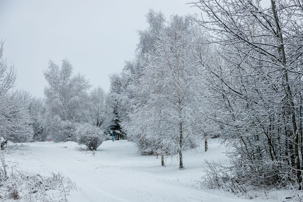 Photograph by Старых Сергей