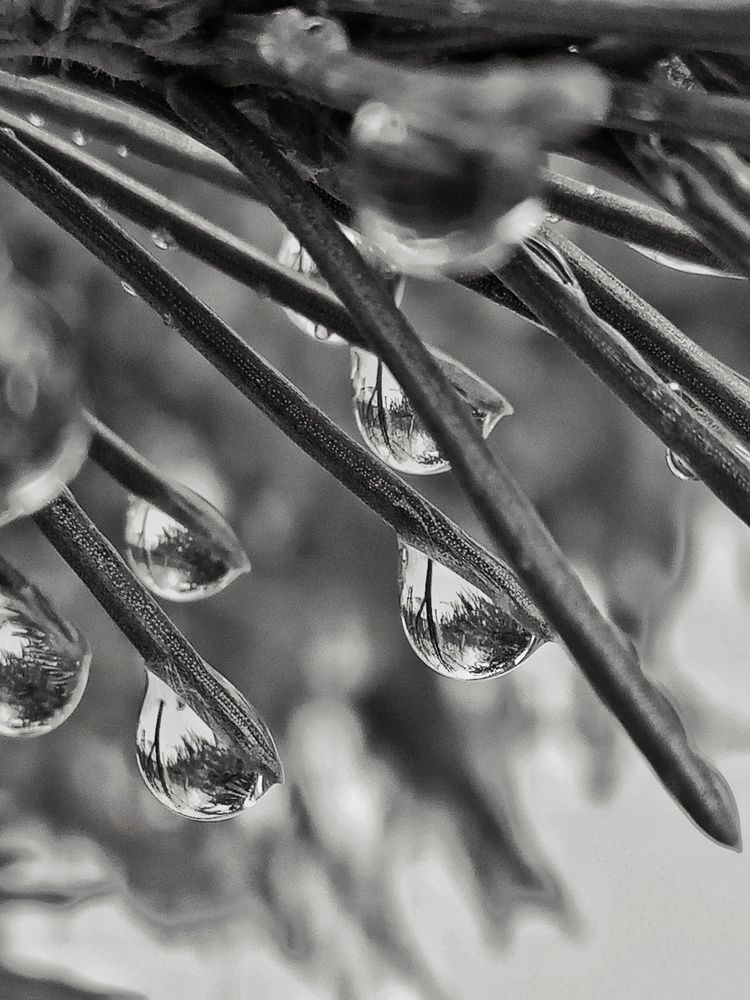 Photograph by Оксана Мельник