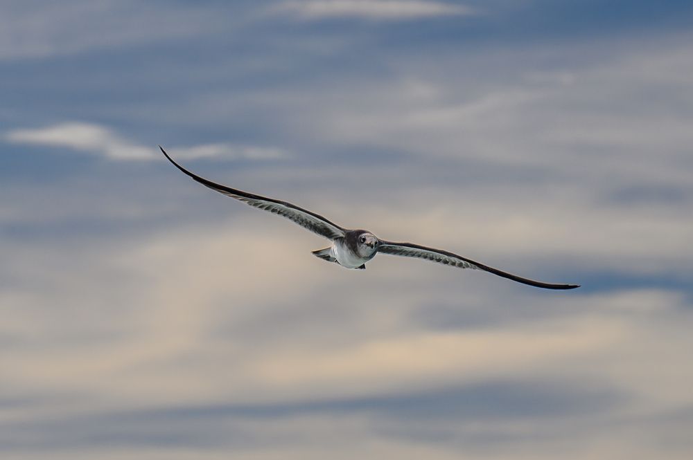 Photograph by Вячеслав Белов