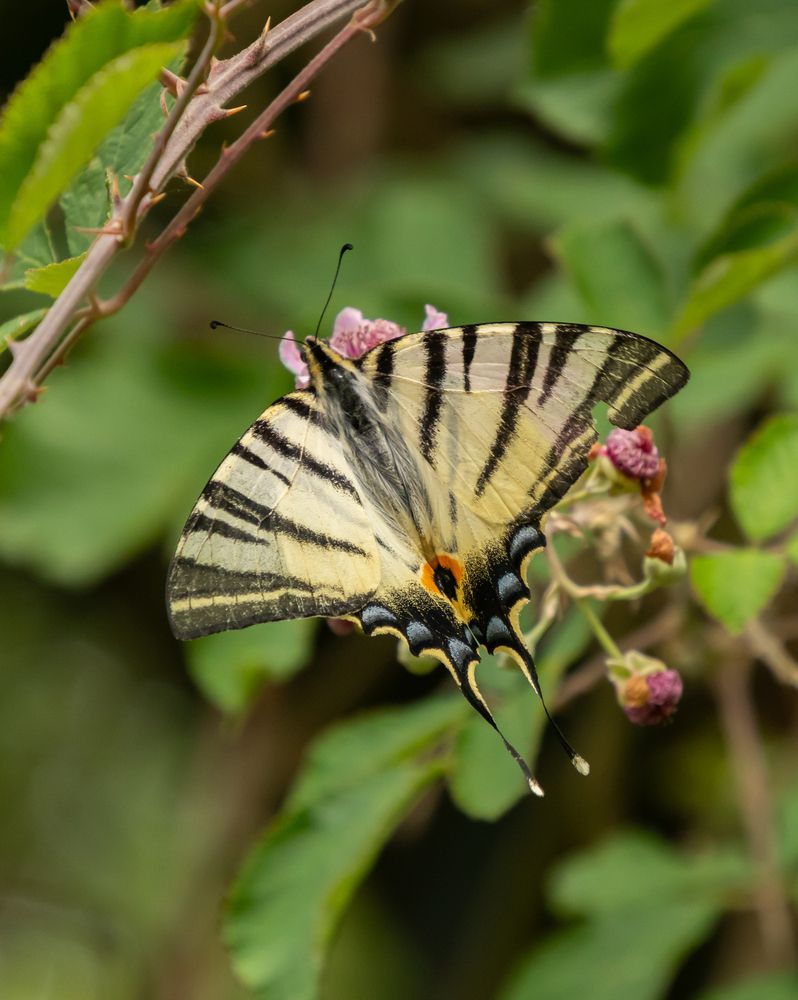 Photograph by Эдуард Седельник