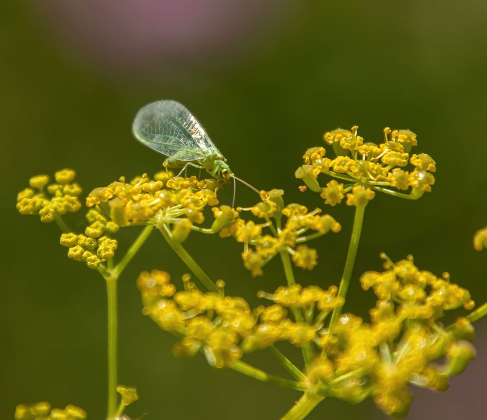 Photograph by Эдуард Седельник