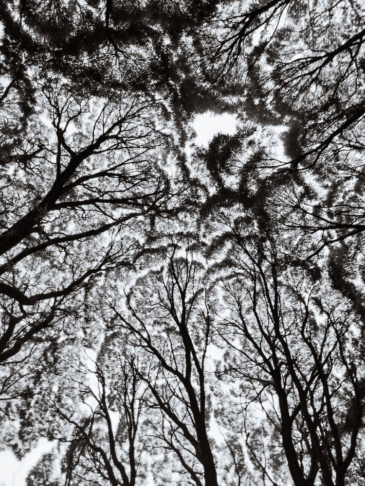 Photograph by Маргарита Гасец