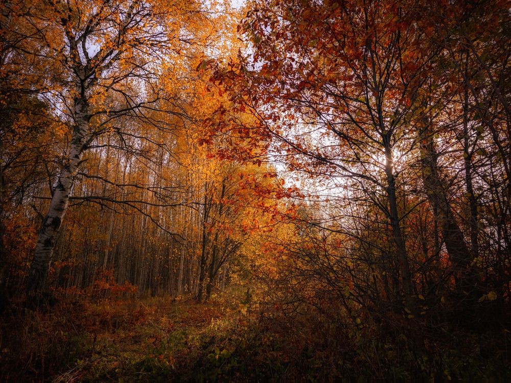 Photograph by Кирилл Сидоров